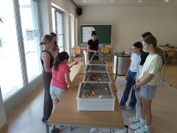 projekttage25_divers2_06