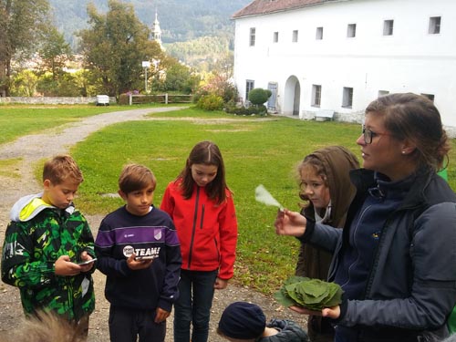 waldtag2c 1