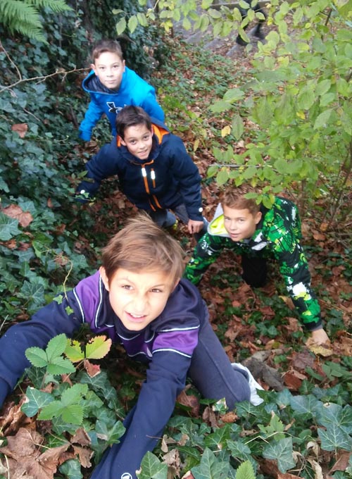 waldtag2c 2