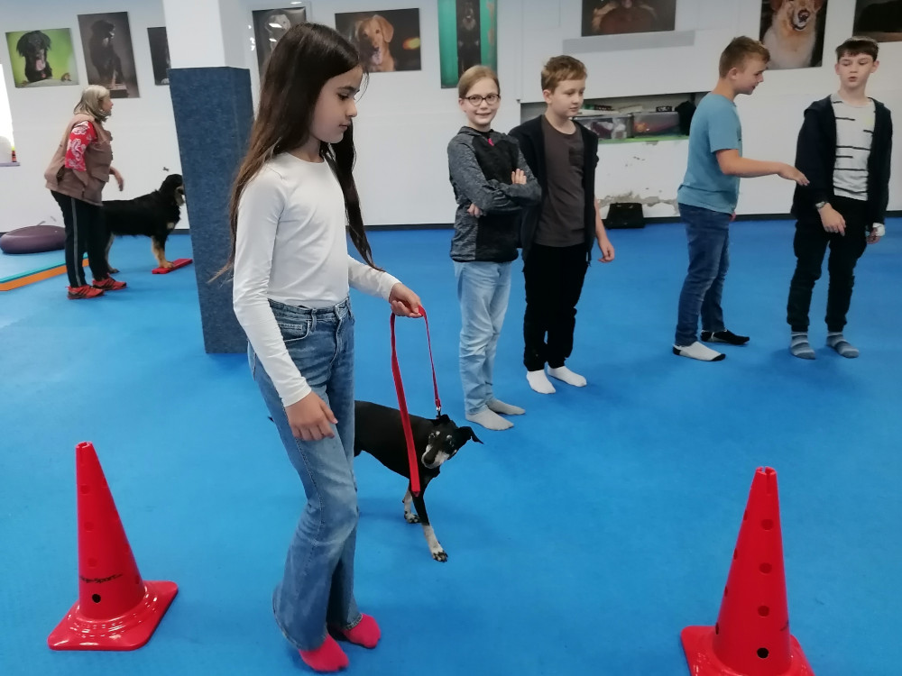 hundeschule1