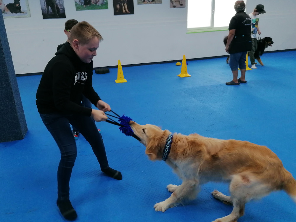hundeschule3