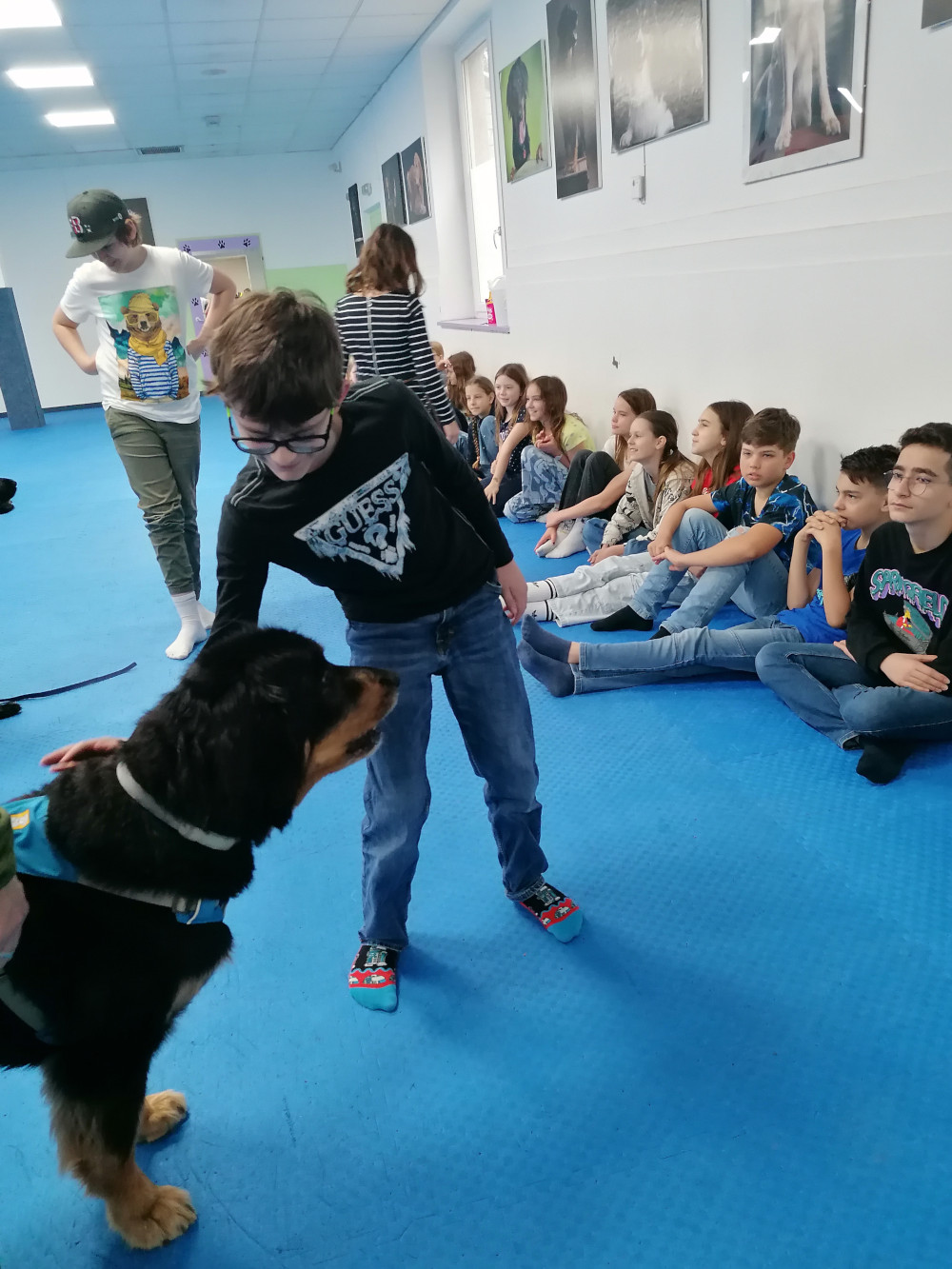 hundeschule3