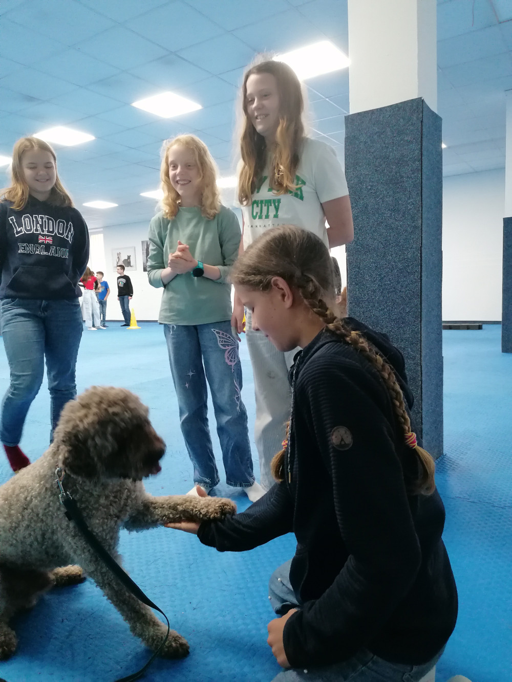 hundeschule3